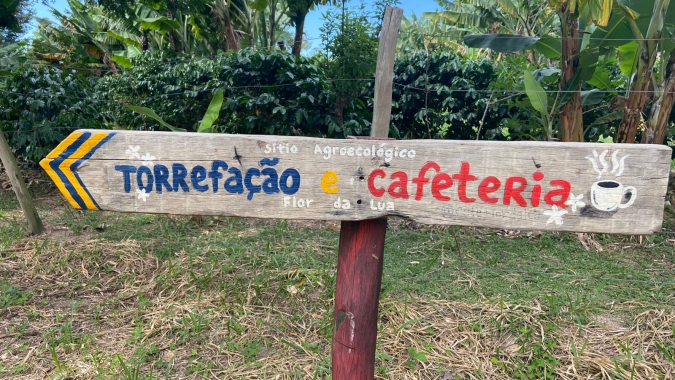 Entrelinhas do Cafezal: Produtor de Campinas resgata história, foca em qualidade e movimenta a cena cafeeira na região