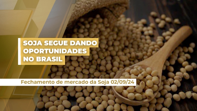Soja: Produtor deve estar atento às oportunidades que o mercado ainda têm a oferecer; volatilidade continua