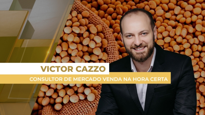 Soja tem semana mais lenta de novos negócios no Brasil, apesar de Chicago ainda acima dos US$ 11 por bushel
