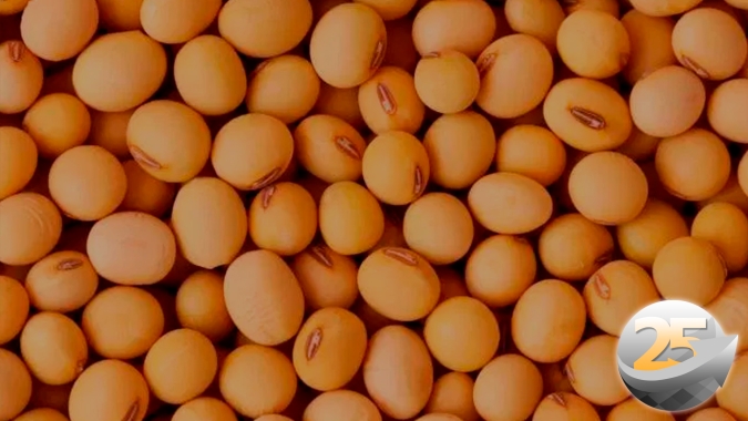 Pós-guerra trará consequências negativas para a produção de grãos e mercado ainda não avaliou impactos para a oferta mundial