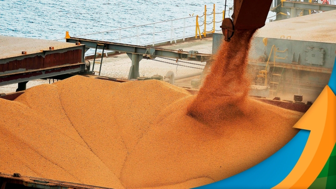 Soja: Com comercialização mais lenta do que safra anterior, produtor precisa estar atento à margem que quer proteger