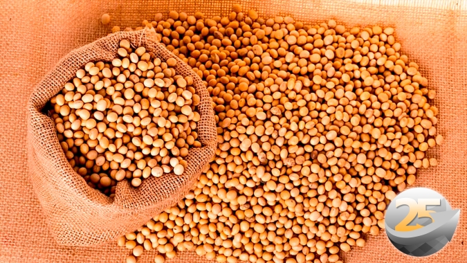Relatório do USDA entra no radar dos investidores já que a confirmação de perdas na produção dos EUA pode impulsionar soja em Chicago