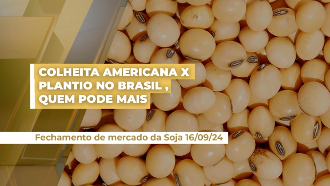 Soja sem força para buscar novas altas em Chicago, de olho no início da colheita americana e no plantio do Brasil
