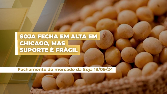 Sessão positiva para soja em Chicago com mercado se apoiando na queda do dólar e plantio atrasado no Brasil