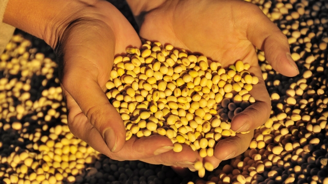 Com margens negativas, processadores de soja do Brasil param produção