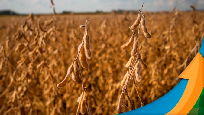 Novas compras da China e aumento do risco climático na Argentina dão suporte ao movimento de alta da soja em Chicago