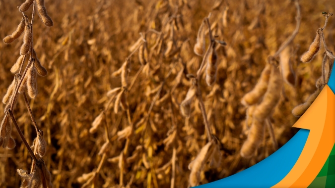 Soja em Chicago vai em busca dos US$13/bushel e pega carona no clima seco da América do Sul
