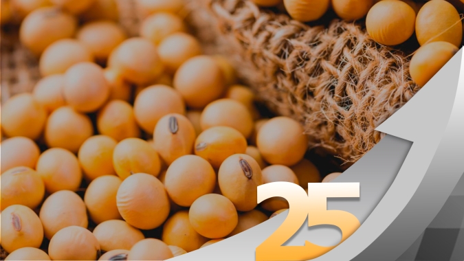 Soja chegou aos US$15/ bushel mas mercado precisa de novidade para buscar os US$16/ bushel; cavalinho encilhado está passando, alerta Brandalizze