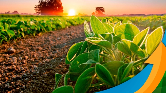 Cândido Mota/SP espera boa produtividade na soja, mas se preocupa com custos de produção e vendas lentas