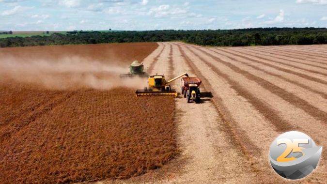 Colheita da soja vai à 60% em Paracatu/MG com produtividade na casa das 65 sc/ha