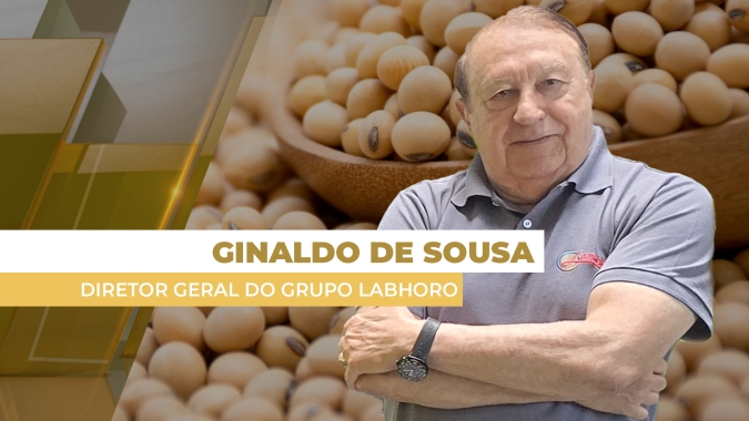 Soja: Chicago devolvendo parte dos ganhos, dólar com forte queda e prêmios sentindo pressionam mercado brasileiro