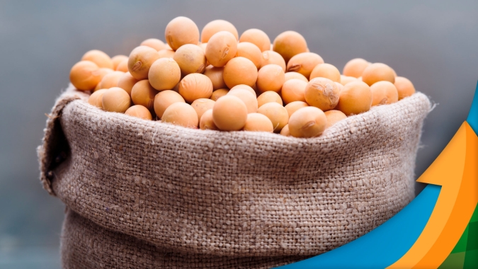 Semana começa com boas altas para soja em Chicago e mercado tem fôlego para retomar patamar acima dos US$12/bushel