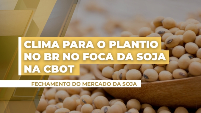 Soja tem estabilidade em Chicago nesta 3ª, mas ainda mantém bons patamares no mercado brasileiro