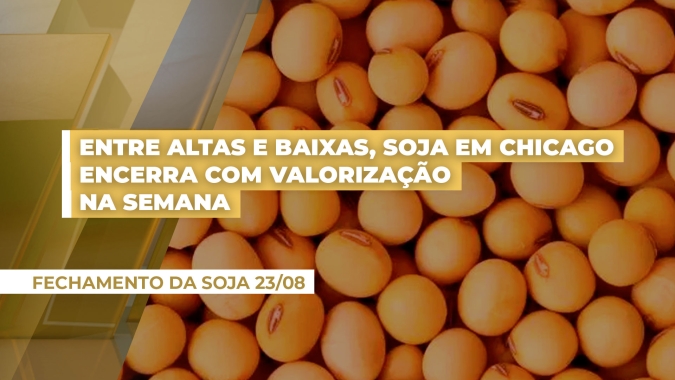 Entre altas e baixas, soja em Chicago encerra com valorização na semana, mas tendência ainda é negativa