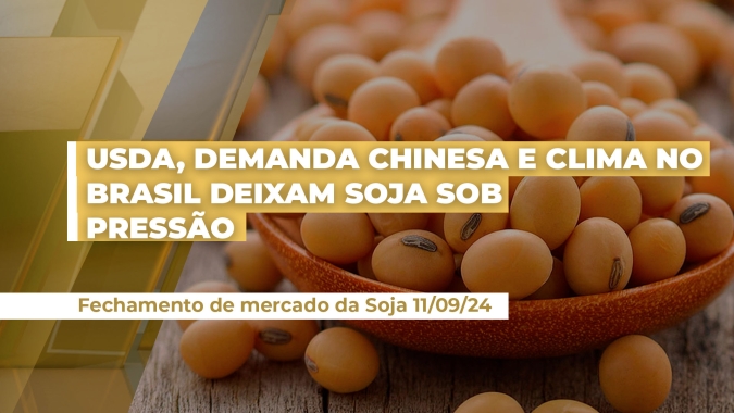 Soja em Chicago finalizou com leves altas a sessão que antecede relatório do USDA, mas fundamentos apontam para mercado pesado