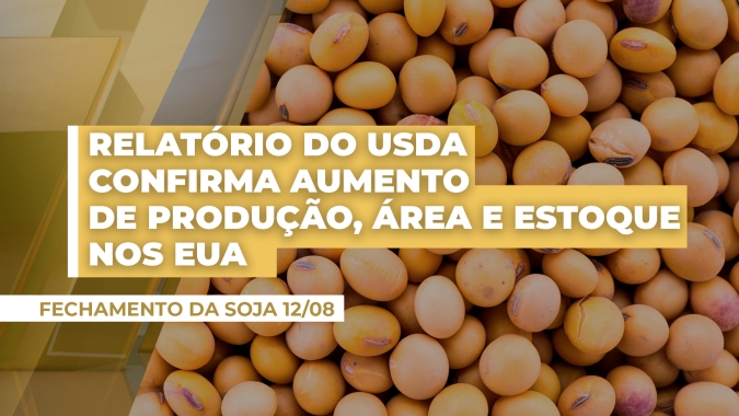 Relatório do USDA confirma aumento de produção, área e estoque nos EUA e soja em Chicago tem mais uma sessão de queda