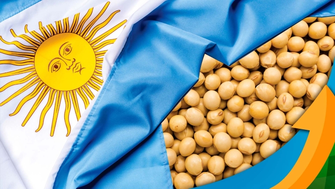 Seca continua grave na Argentina e safra de soja pode ficar abaixo de 40 mi de t