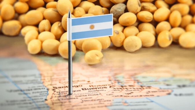 Colheita de soja da Argentina é interrompida após chuvas