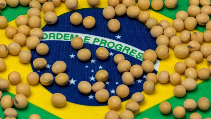 Soja: Brasil encerra semana negociando perto de 2 mi de t, volume ainda abaixo do ideal para o período