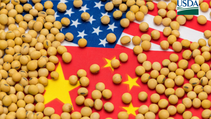 China compra mais 122 mil t de soja dos EUA nesta 5ª feira (6)