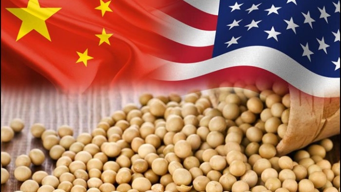 Pelo 10º dia consecutivo, USDA informa nova venda de soja para a China