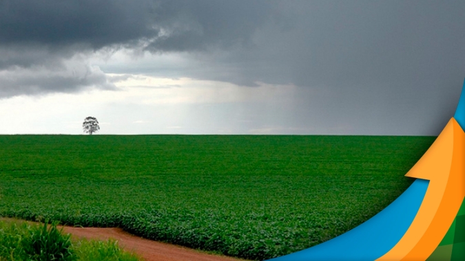 Excesso de chuvas atrasa plantio e dificulta germinação da soja em Goioerê/PR