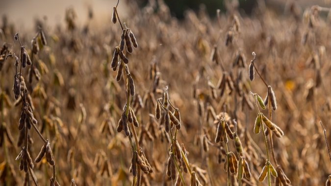 Perspectivas para o agronegócio brasileiro em 2026: decisões jurídicas que definirão competitividade
