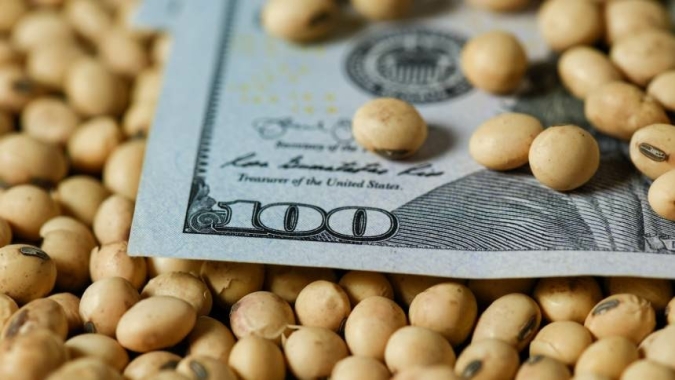 Soja acompanha baixa generalizada das commodities nesta 6ª feira, com pressão do dólar e fundamentos
