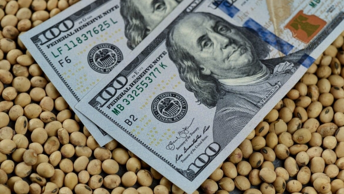 Soja: Futuros em Chicago acompanham commodities na baixa refletindo aversão ao risco