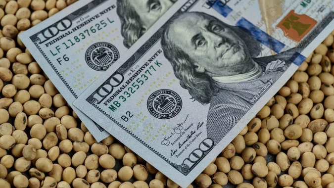 Bolsa de Chicago e câmbio em direções opostas: Entenda os impactos ao produtor brasileiro