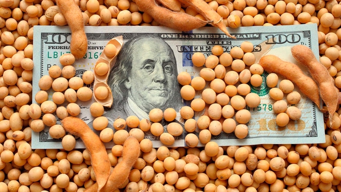 Soja retoma mercado trabalhando com leves ganhos nesta 3ª feira, acompanhando altas do óleo em Chicago