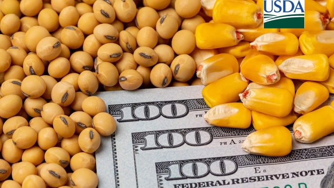USDA: Vendas de soja dos EUA para exportação são 18% menores, no acumulado, do que no mesmo período do ano passado