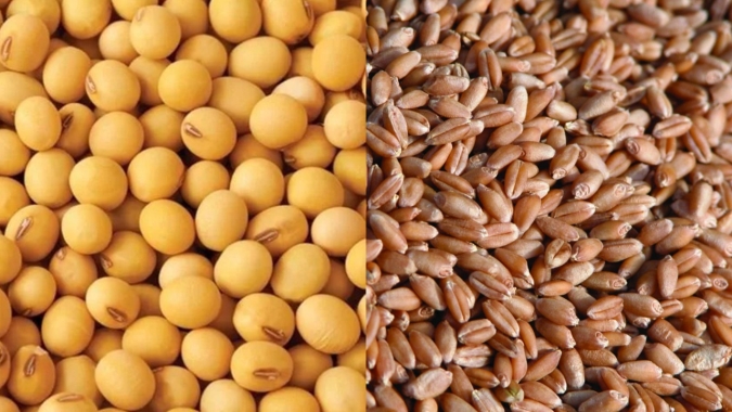 Ucrânia tenta desbloquear acordo para embarque de grãos, mas Rússia ainda não aceita acordo