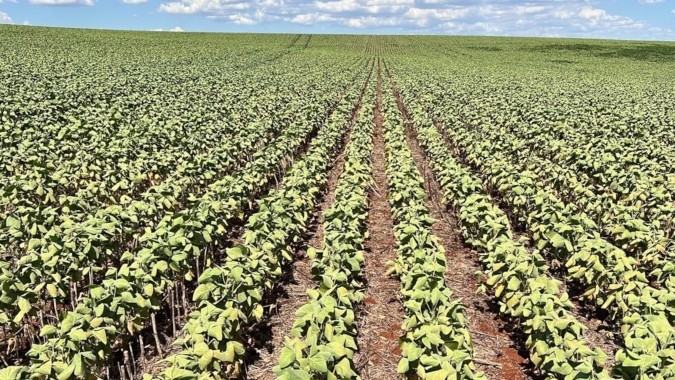 Agrodefesa lança programa de rádio para fortalecer a comunicação sobre defesa agropecuária