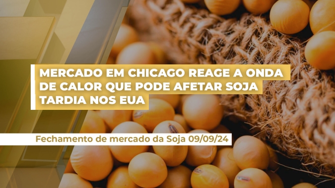 Mercado em Chicago reage a onda de calor que pode afetar soja tardia nos EUA, aquecimento da demanda americana e atuação dos fundos