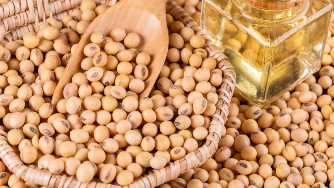 Pós-USDA: Tendências para as safras 24/25 de soja, milho e trigo