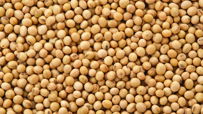 Soja volta a subir em Chicago nesta 4ª feira, acompanhando novos ganhos generalizados das commodities