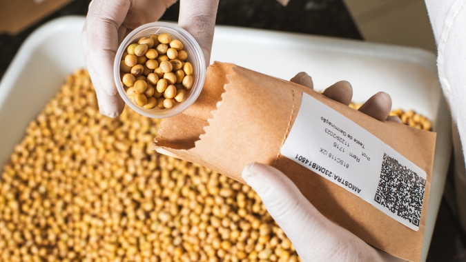 O desenvolvimento de sementes mais resistentes e produtivas é fundamental para o futuro da agricultura