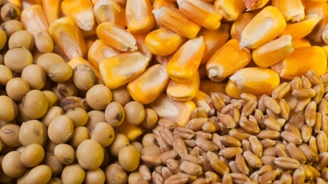 USDA: Vendas semanais 23/24 de soja, milho e trigo vêm dentro das expectativas do mercado