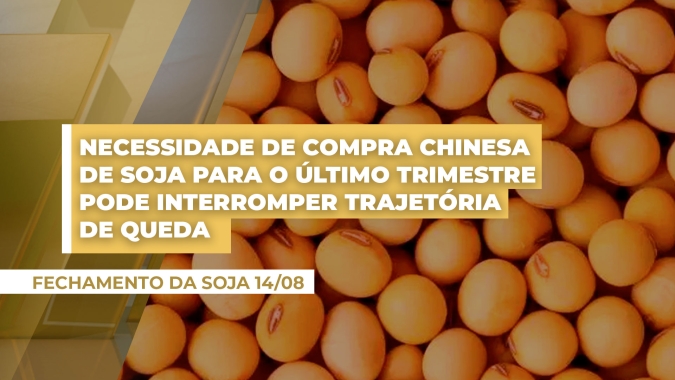 Soja: necessidade de compra chinesa no último trimestre pode interromper trajetória de queda em Chicago , alerta analista