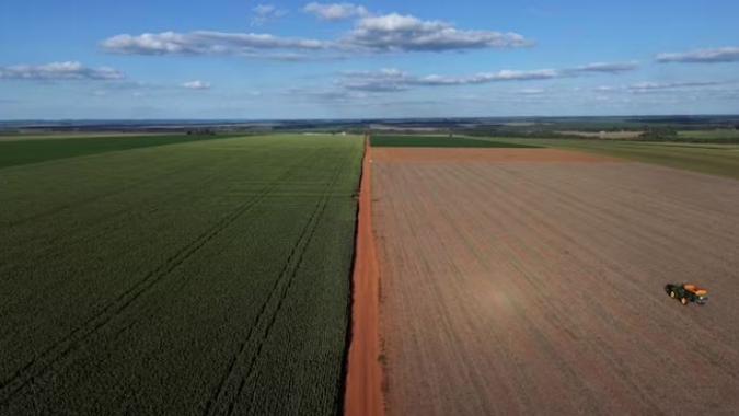 Produtores de soja do Paraguai enfrentam 'tobogã' na guerra tarifária