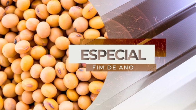 2023 termina com sojicultura avaliando quebra da safra 23/24 e desafios para o próximo ano
