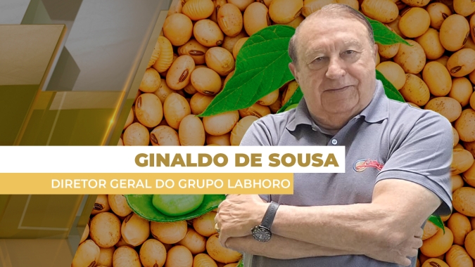 Argentina pressiona soja na Bolsa de Chicago nesta 6ª feira e mercado fecha com mais de 1% de queda