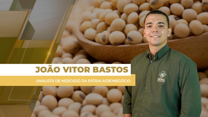 Soja fecha em alta em Chicago, mas preços permanecem estáveis no BR com pressão dos prêmios