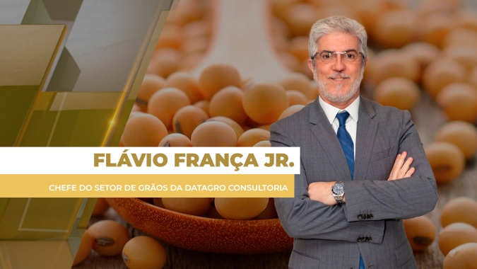 Soja ameniza ganhos com leve alta do dólar, mas ainda fecha positivo em Chicago com avanço do farelo e do trigo