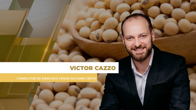 Analisando Sua Comercialização