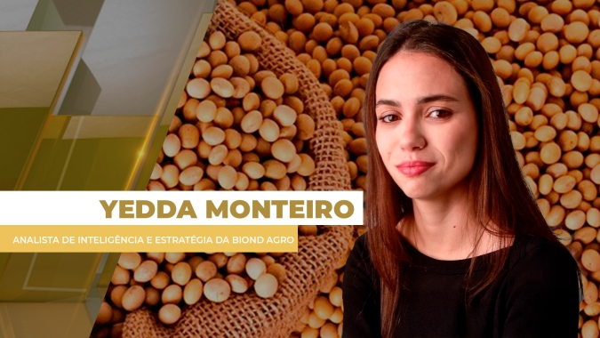 Números do USDA pressionaram commodities em Chicago; soja teve pressão adicional da ausência da China