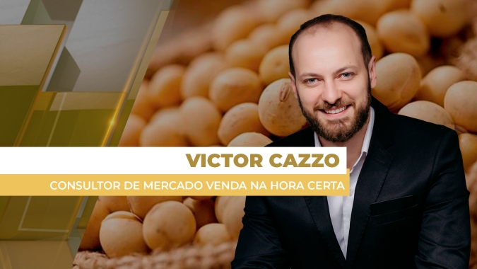 Discussão sobre biocombustível nos EUA derruba preço do óleo de soja e leva para baixo preço do grão