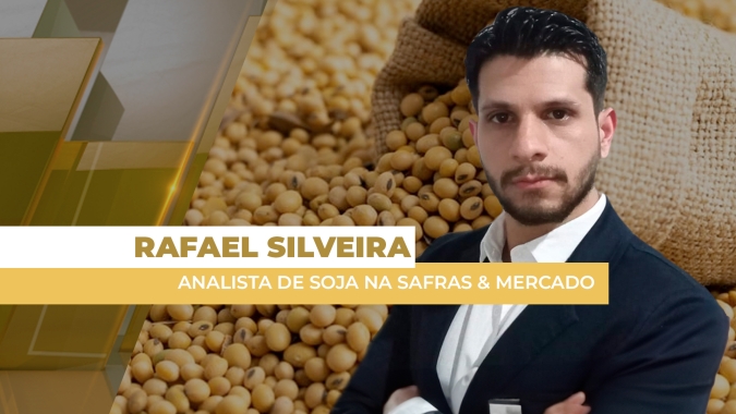 Soja: Mercado brasileiro tem basis bem acima da paridade de exportação em diversas regiões e motiva novos negócios
