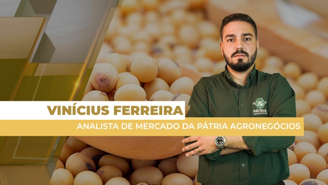 Apesar de queda na CBOT, soja segue em alta no Brasil com suporte consistente dos prêmios